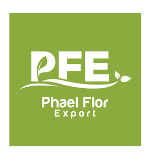 phael flor export